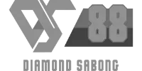 Papara partner logo